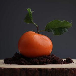 8ecaa233-ca10-49ec-b84c-9abd6bddff42 (1)