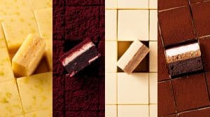 Master Online Brownies Blondies
